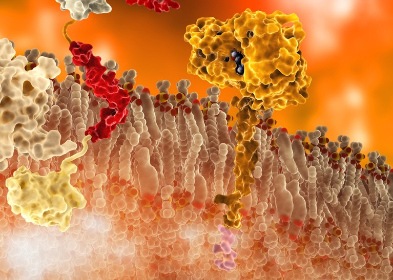 1999: Identifying the key enzyme β-secretase