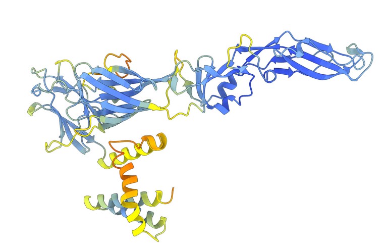 Dengue Virus E glycoprotein predicted using ColabFold-AlpahFold2.