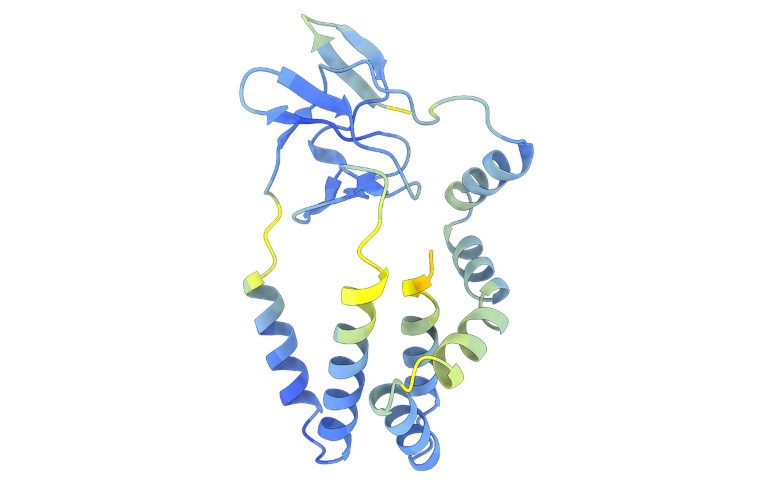 La glicoproteína E1 del virus de la hepatitis C se predijo utilizando ColabFold-AlpahFold2.