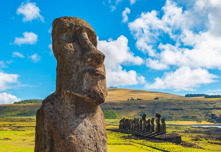 A close up view of a Moai statue on a bright summer day on Rapa Nui.