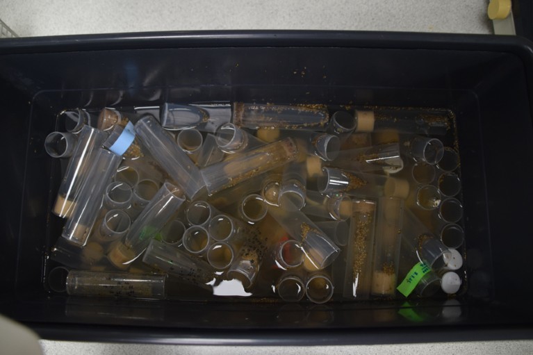 A container filled mid-way with plastic polypropylene vials in a clear decontamination solution