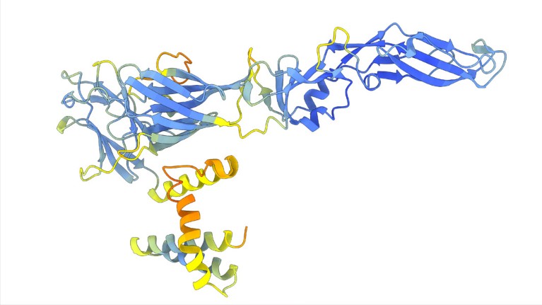 Dengue Virus E glycoprotein predicted using ColabFold-AlpahFold2.