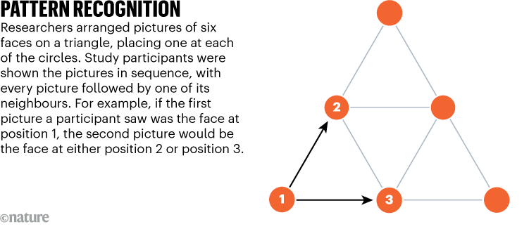 PATTERN RECOGNITION. Graphic shows researchers study model.