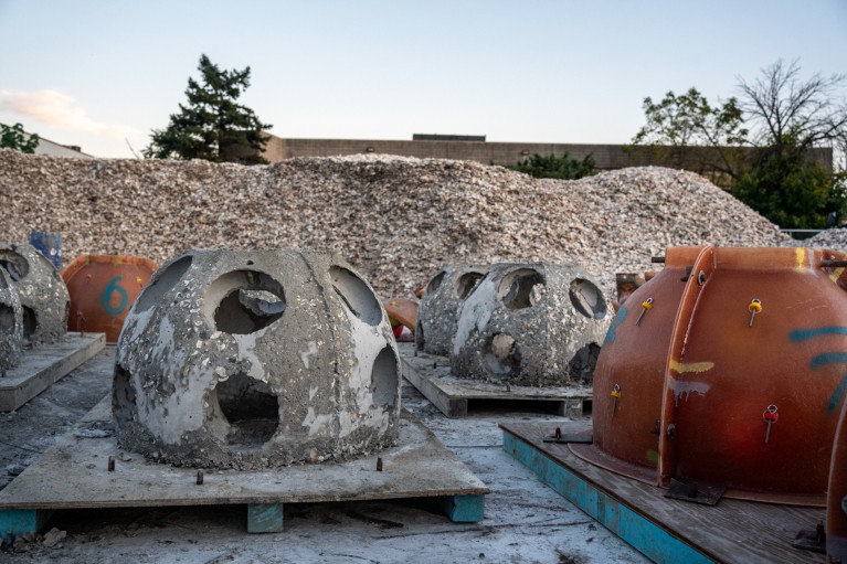 Rows of grey domed 'reef balls' are stored outdoors surrounded by tall piles of oyster shells