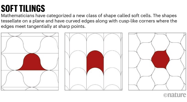 Soft tilings: Examples of a new shapes called a soft cells which tessellate on a plane and have curved edges.