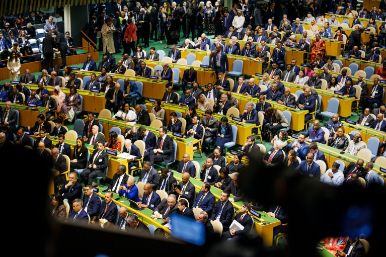 Vista general de los participantes en la reunión del 79º período de sesiones de la Asamblea General de las Naciones Unidas