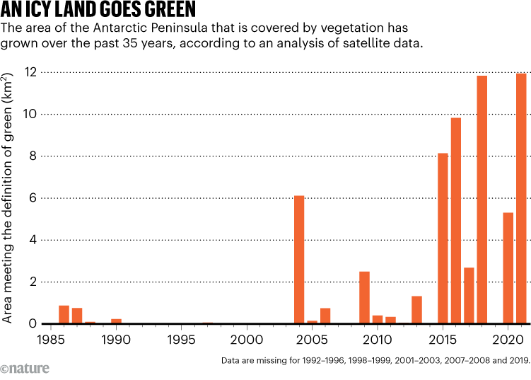 El suelo helado se vuelve verde. El gráfico muestra que el área de la Península Antártica cubierta de vegetación ha crecido en los últimos 35 años.