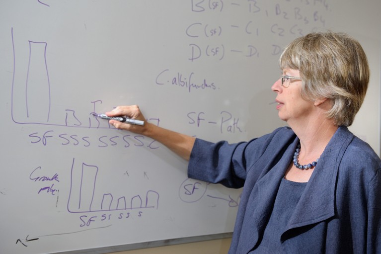 Brenda Wingfield writing on a whiteboard