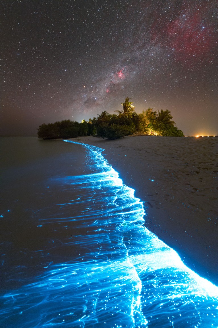 Turquoise bioluminescent plankton glow in the surf breaking on a beach in the Maldives as the stars and red-pink nebula of the Southern Cross constellation apear in the sky