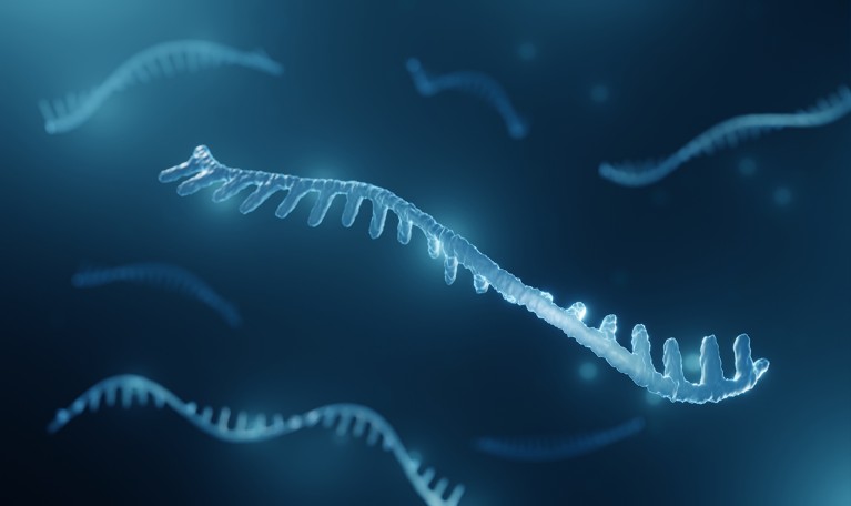 Micro RNA (miRNA) 3d illustration.