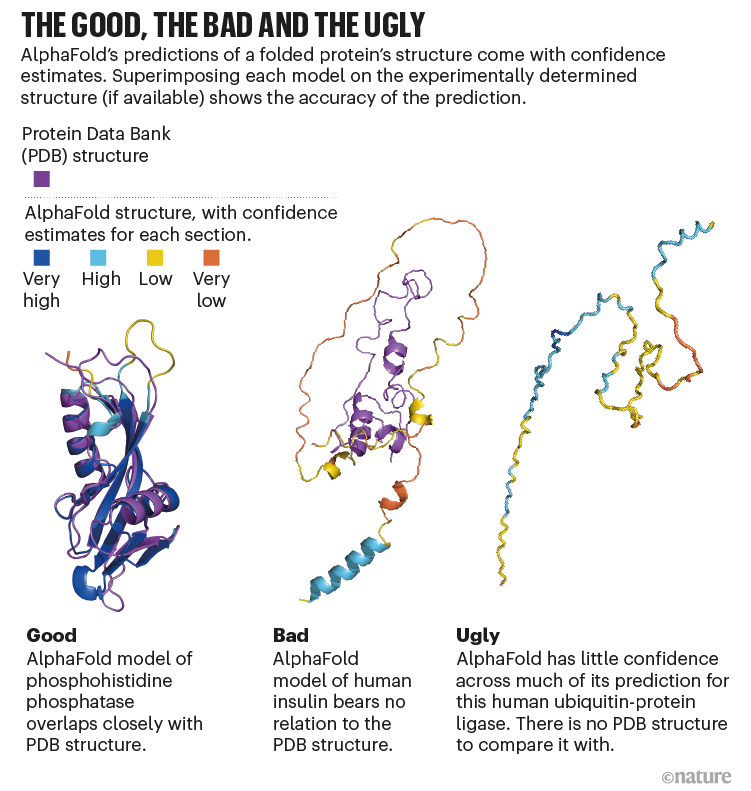 The good, the bad and the ugly: graphic that shows the varying accuracies of AlphaFold’s predictions with confidence estimates.