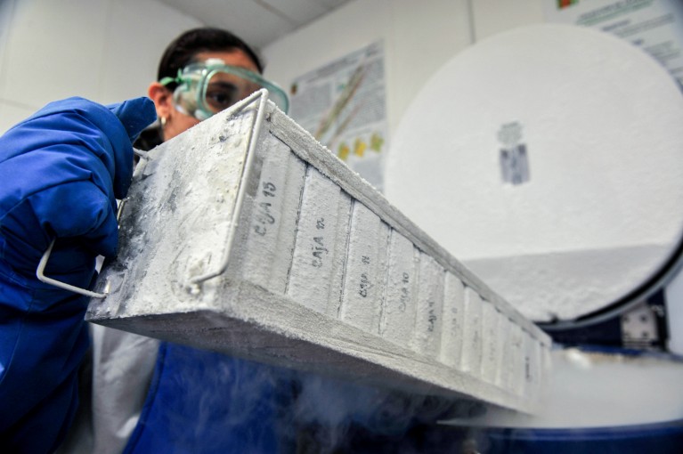 A scientist wearing goggles and thick gloves handles a tank of liquid nitrogen with DNA samples of animal and plant species of Colombia