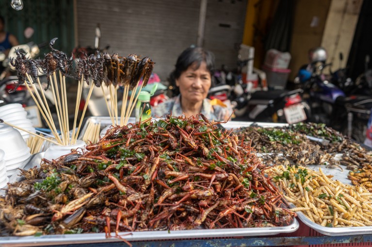 Una donna vende insetti su una bancarella di un mercato alimentare in Thailandia