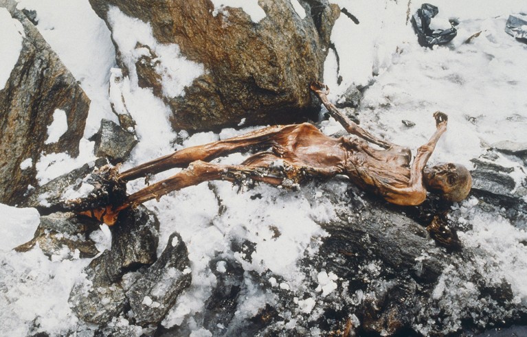 Mummified body of a man on the Similaun glacier in the Otzal Alps in Italy, 92 meters from the Austrian border.