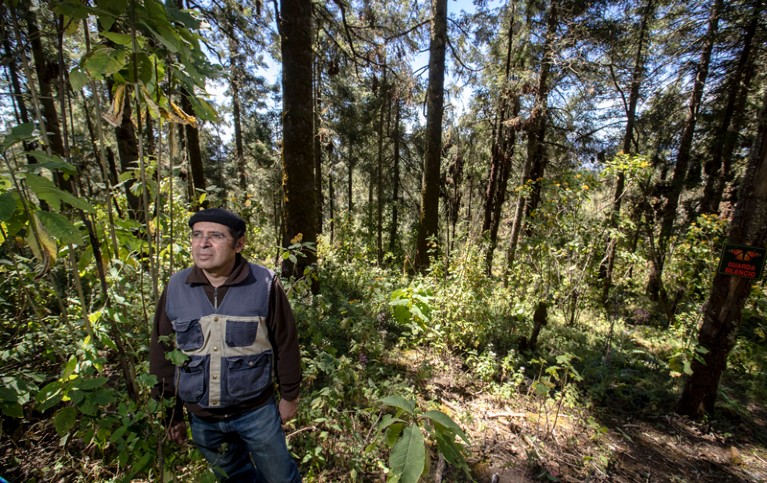 Cuauhtemoc Saenz-Romero standing in a mountain forest in Mexico