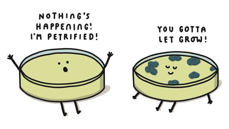 A cartoon depicting one empty petri dish saying "Nothing's happening! I'm petrified!" and one cultured petri dish saying "You gotta let grow!"