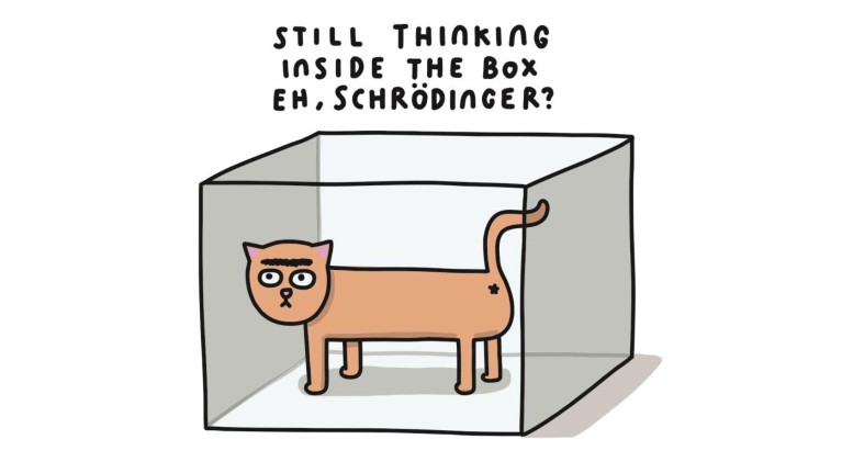 A cartoon depicting a cat in a box captioned "Still thinking inside the box eh, Schrödinger?"