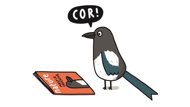 Cartoon depicting a magpie looking at the cover of a Nature magazine saying "COR!"