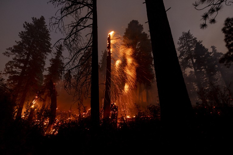 Sparks fly off of trees as the Bridge Fire burns in the hills of Big Pines, near Wrightwood, California in 2024.