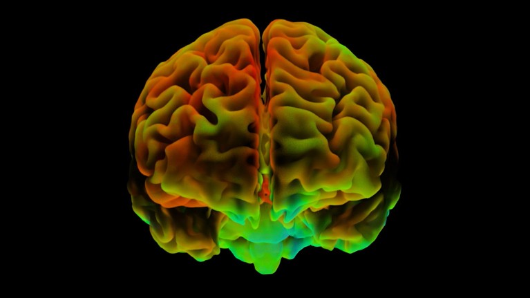 Coloured functional magnetic resonance imaging scan of a healthy human brain at rest.