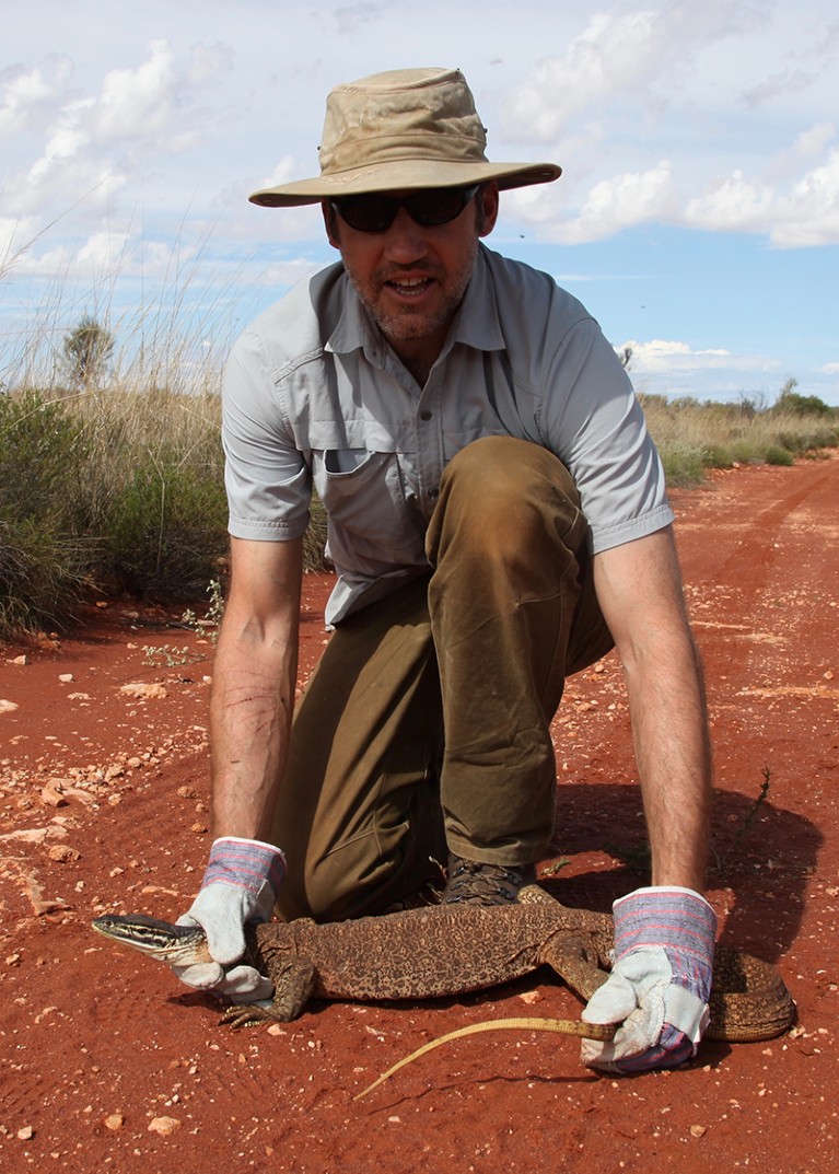 Dan Rabosky kneels on the ground with a yellow-spotted monitor in the Australian Outback