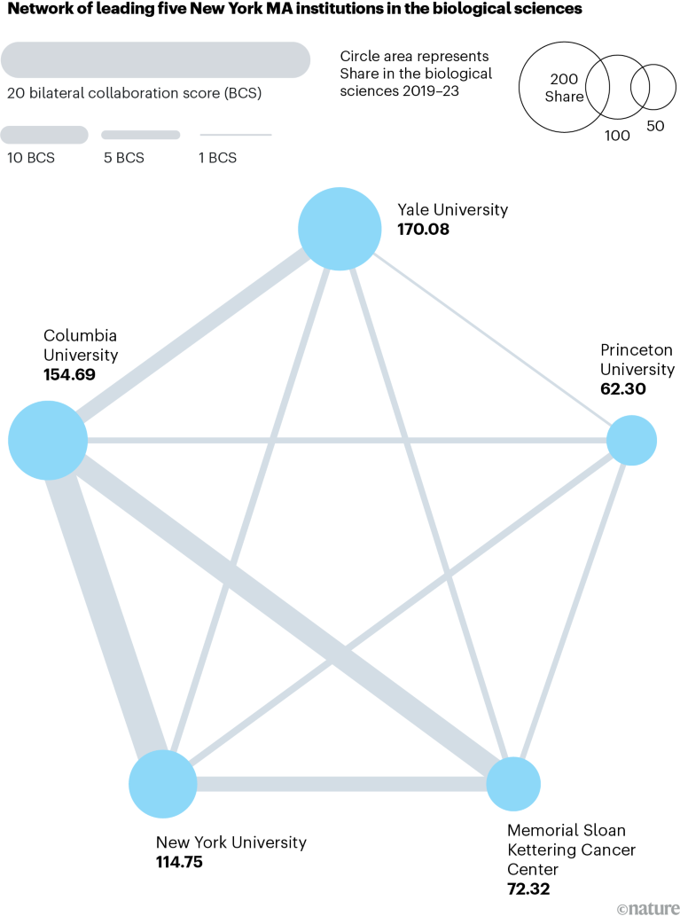 Grafico della rete che mostra la collaborazione nelle scienze biologiche tra le cinque principali istituzioni nell'area di New York per la ricerca sul Nature Index