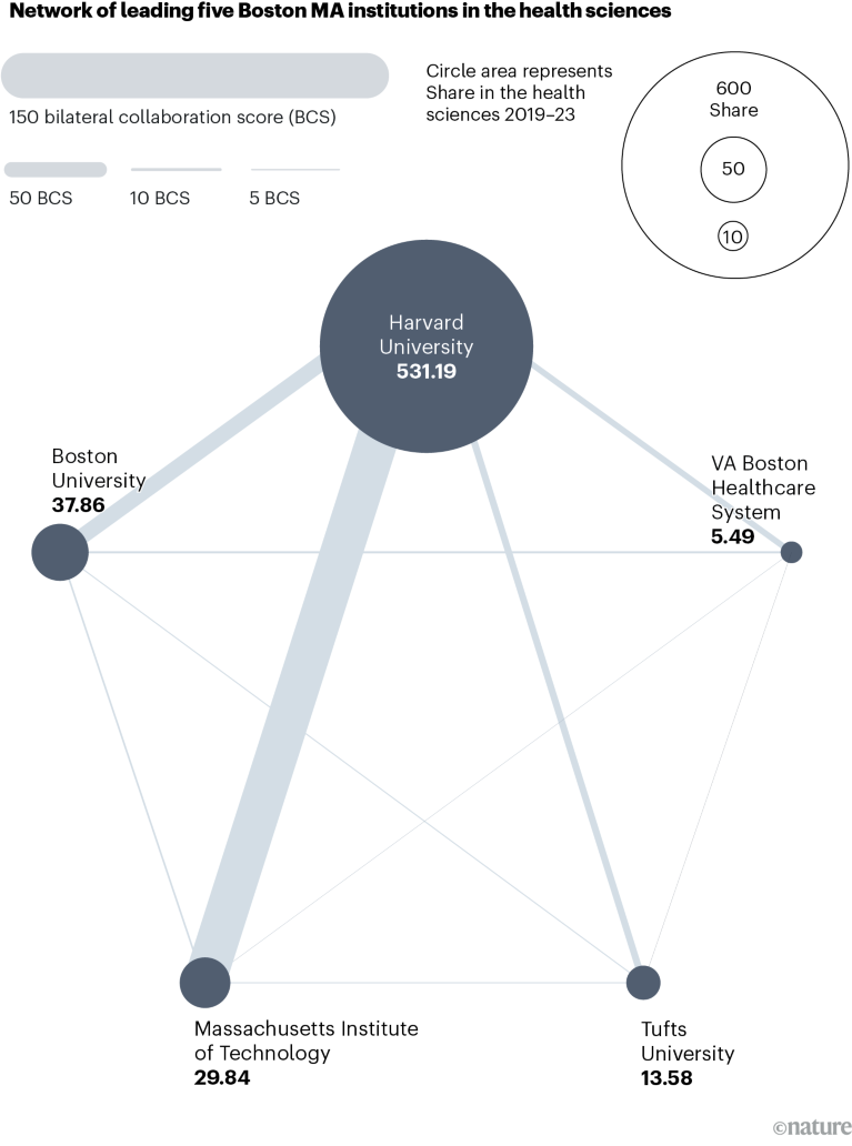 Network chart showing collaboration in the health sciences between the leading five institutions in the Boston area for Nature Index research