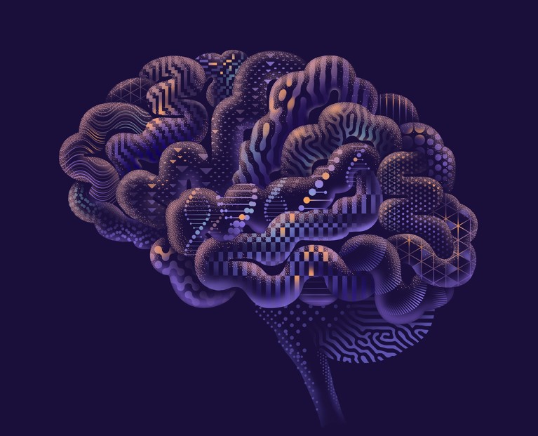 Illustration of a side-view brain made up of parts with different textures.