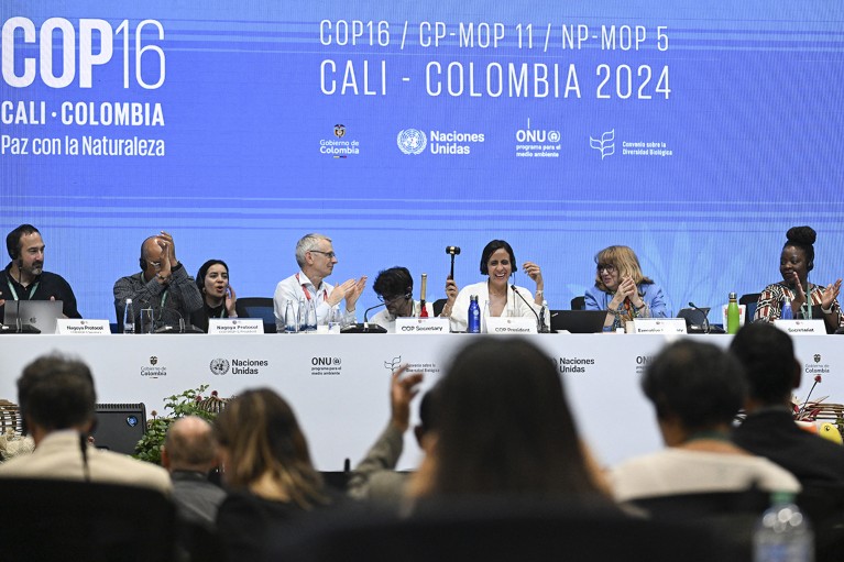 Attendees onstage and in the audience at the last plenary session of the COP16 Summit in Cali, Colombia, 2024.