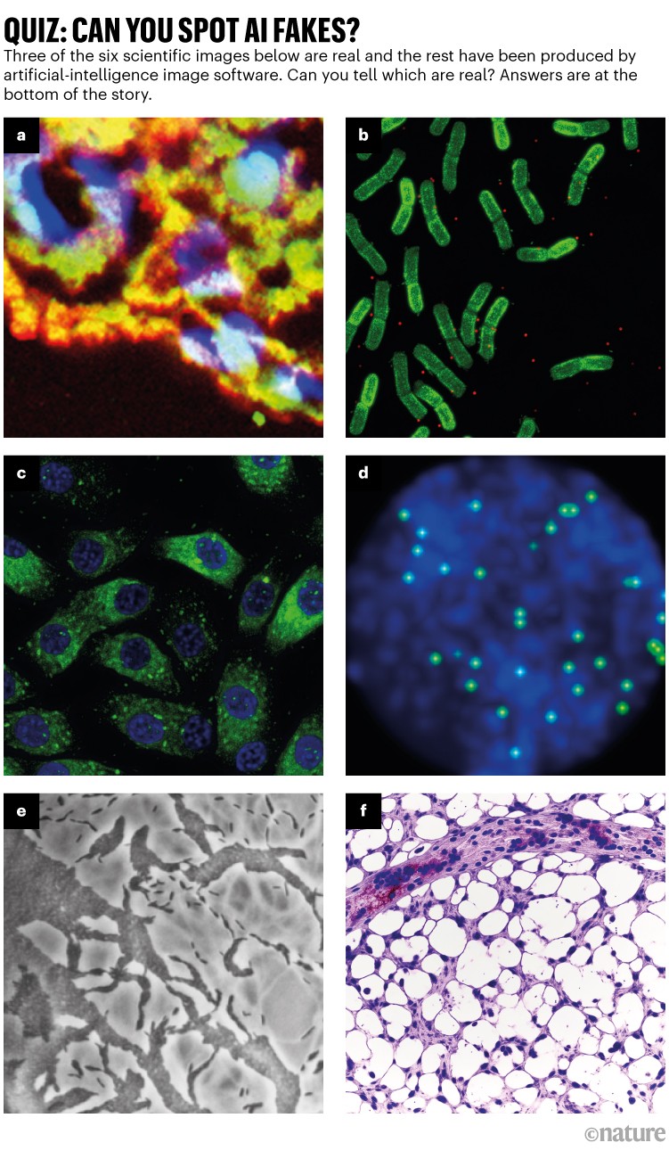 Quiz: Can you spot AI fakes? A series of six images, three of which were produced by artificial-intelligence image software.