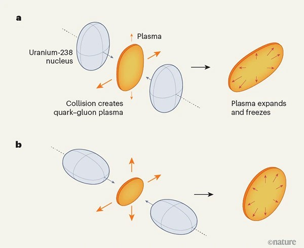 An infographic showing the plasma formed by the high-energy collision of two uranium-238 nuclei either side to side, or end to end.