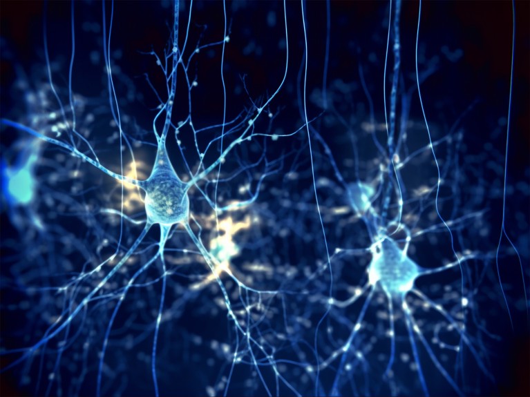 3D illustration of pyramidal neurons from the cerebral cortex of the brain