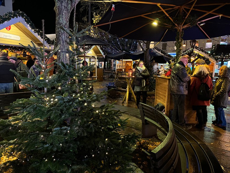 A Christmas tree is seen at the Altona Christmas Market