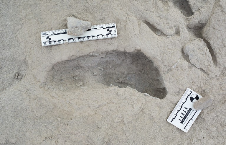 A footprint in beige rock, with two rulers for scale.