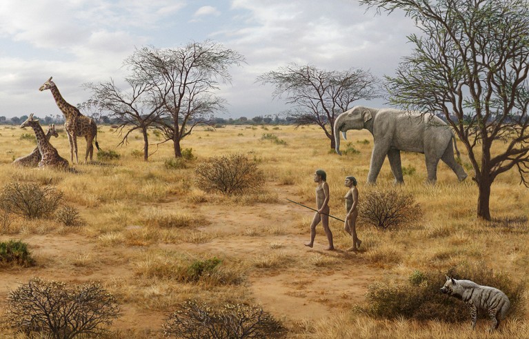 Artwork of Homo ergaster male and female hominins walking across African savannah, with giraffes, a hyena and an elephant relative.