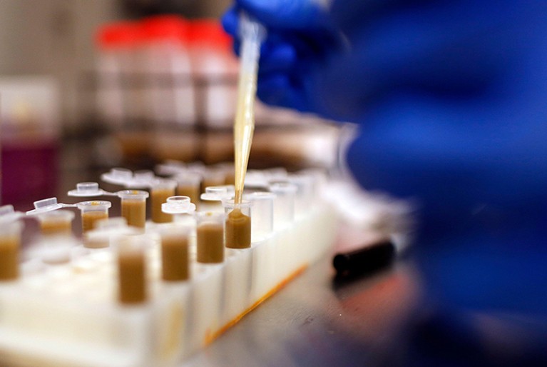 A brown substance is pipetted into vials in a laboratory as part of a process to make FMT pills