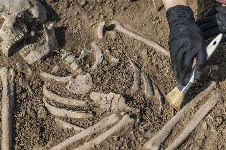 An archaeological excavation of human skeletal remains.