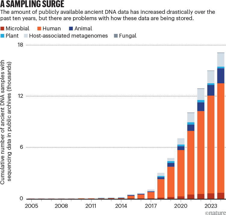 A sampling surge. A stacked bar chart showing the cumulative number of ancient DNA samples with sequencing data in public archives rising between 2005 and 2024.