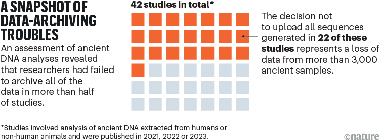 A snapshot of data-archiving troubles. A graphic showing 42 squares, 22 of which are coloured orange, representing the studies where the decision was made to not upload all the sequences generated. This resulted in a loss of data from more than 3,000 ancient samples.