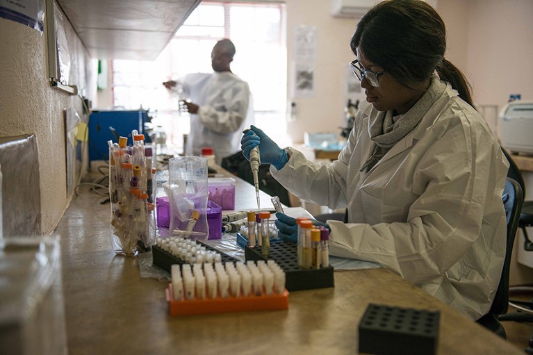 Two laboratory staff work with samples in a lab, the foreground technician pipetting matter from tubes onto slides. Sample tubes surround her.