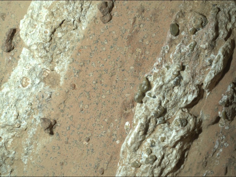 NASA's Perseverance Mars rover captured this image of a spotted rock nicknamed "Cheyava Falls" on July 18, 2024.