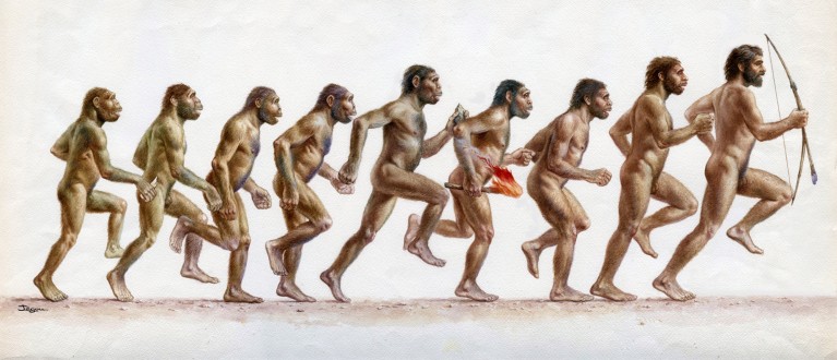 Illustration of human ancestors at different stages of evolution running with Australopithecus afarensis on the far left and homo sapien on the far right