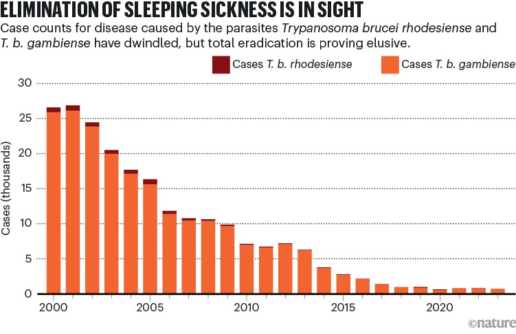 A bar chart shows case counts of sleeping sickness caused by the parasites Trypanosoma brucei rhodesiense and T. b. gambiense have dwindled, but total eradication is proving elusive.