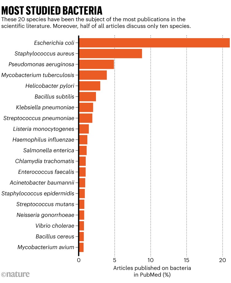 Most studied bacteria: Graph showing the 20 species have been the subject of the most publications in the scientific literature. Moreover, half of all articles discuss only ten species.