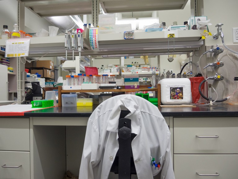 The lab bench of an absent university researcher.