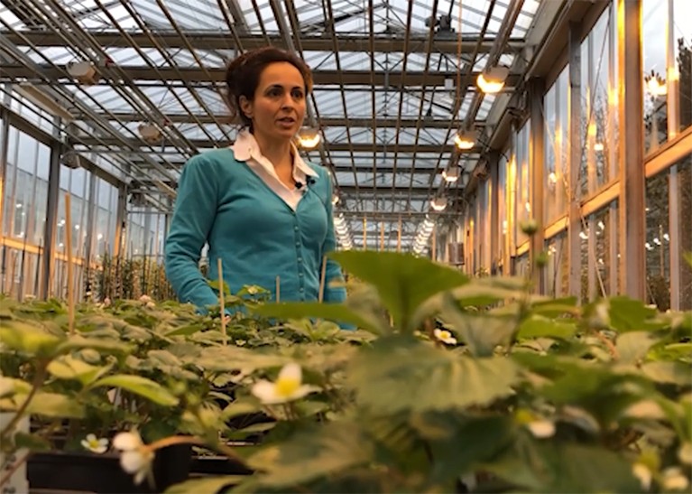 Monica Saavedra standing in a greenhouse