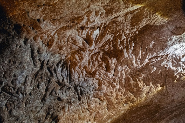 Claw marks on the cave walls in Brazil.