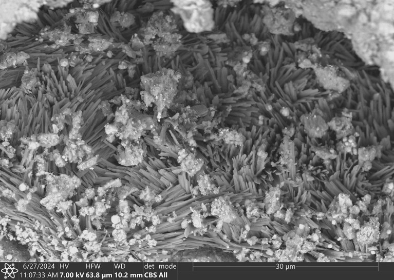 Scanning electron microscope image of minerals found in samples of the asteroid Bennu.