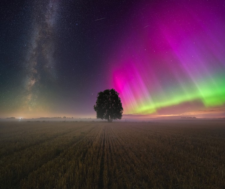 A lone tree situated between a sky filled with the Milky Way on the left, and the colourful glow of the aurora on the right.