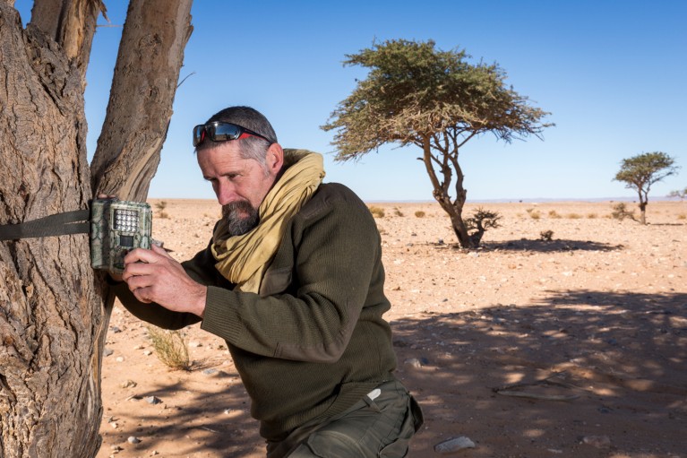 Jose María Gil-Sanchez kneeling down in the sand to inspect a camera trap which is attached to a tree in the Sahara desert